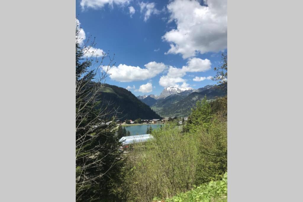 Studio Les Freinets Chatel Bagian luar foto